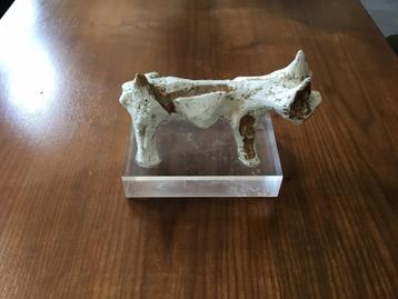 Manlio Bacosi plastiek / sculptuur van een kat beschikbaar voor biedingen