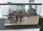 Hamster terrarium 80x40x50, Gebruikt, Hok, Hamster, 75 tot 110 cm