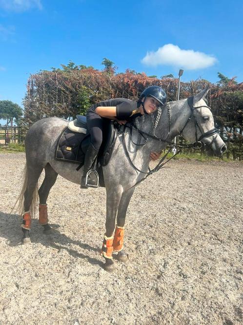 Pony te lease, Dieren en Toebehoren, Paarden en Pony's | Verzorgingsproducten, Zo goed als nieuw, Ophalen of Verzenden