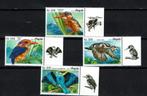 angola 2018 pf serie ijsvogels vogels birds kingfisher, Ophalen of Verzenden, Postfris, Dier of Natuur