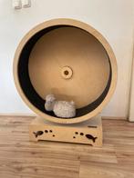 Katten wiel onze poesjes spelen samen, Dieren en Toebehoren, Katten-accessoires, Ophalen, Zo goed als nieuw