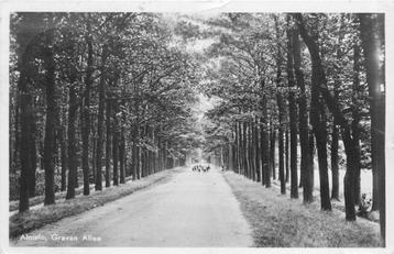 (379-239-019) Almelo Graven Allee beschikbaar voor biedingen