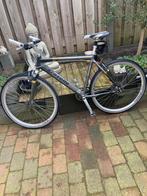 Gazelle Torrente, Ophalen, Gebruikt, Hardtail, 49 tot 53 cm