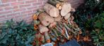 0,25 m3 loofhout vers gezaagd, Tuin en Terras, Haardhout, Minder dan 3 m³, Ophalen, Overige houtsoorten