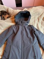 Air force skijas, Kleding | Dames, Wintersportkleding, Ophalen of Verzenden, Nieuw, Maat 42/44 (L), Jack