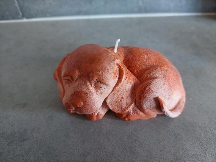 Kaarsen - handgemaakt - huisdier kaarsje, Huis en Inrichting, Woonaccessoires | Kandelaars en Kaarsen, Ophalen of Verzenden