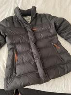 Moscow donsjas L, Kleding | Dames, Jassen | Winter, Moscow, Verzenden, Maat 42/44 (L), Grijs