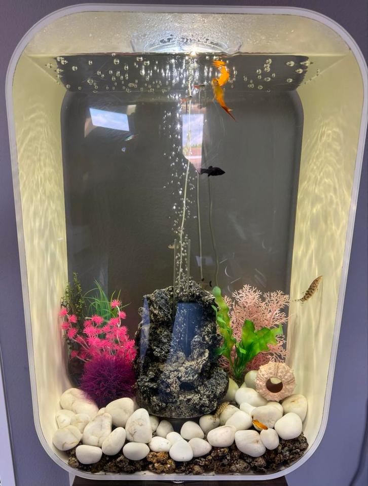 Biorb Life 60 MCR • 60 L • Glanzend wit • Zo goed als nieuw, Dieren en Toebehoren, Vissen | Aquaria en Toebehoren, Zo goed als nieuw