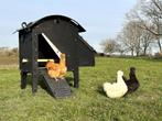 Kunststof Kippenhok - Nestera Small Op Pootjes, Dieren en Toebehoren, Pluimvee | Toebehoren, Ophalen of Verzenden, Nieuw, Kippenhok of Kippenren
