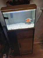 Klein aquarium, Dieren en Toebehoren, Vissen | Aquaria en Toebehoren, Ophalen, Leeg aquarium