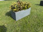 Plantenbak partij bloembak rechthoek donkergrijs clayfibre, Ophalen, Tuin, Kunststof, Minder dan 30 cm