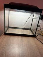 Aquarium SuperFish Start 20, Dieren en Toebehoren, Vissen | Aquaria en Toebehoren, Ophalen, Zo goed als nieuw, Leeg aquarium