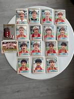 Panini Ajax vintage oa Van Basten Rijkaard etc., Ophalen, Zo goed als nieuw, Meerdere stickers
