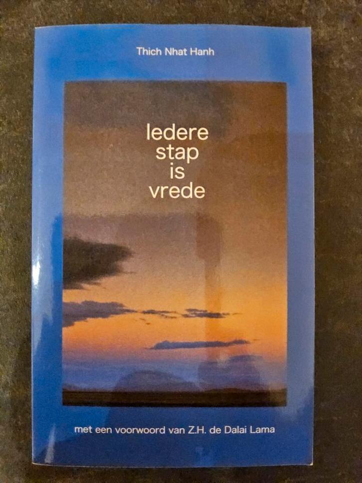 Iedere Stap Is Vrede - Thich Nhat Hanh, Boeken, Esoterie en Spiritualiteit, Zo goed als nieuw, Achtergrond en Informatie, Spiritualiteit algemeen