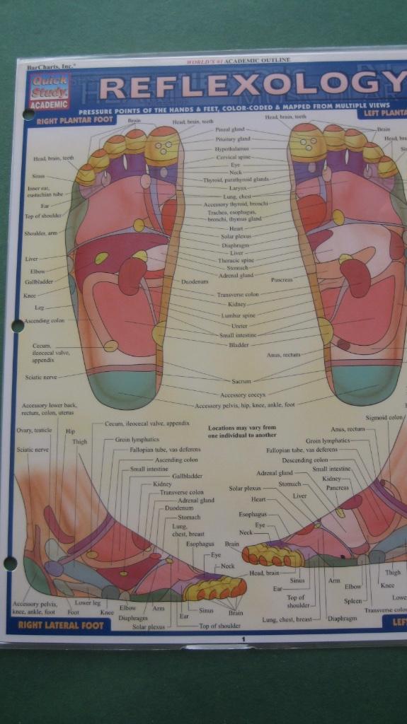 Reflexology (Quick Study Academic Outline), Boeken, Studieboeken en Cursussen, Nieuw, Niet van toepassing, Beta, Ophalen of Verzenden