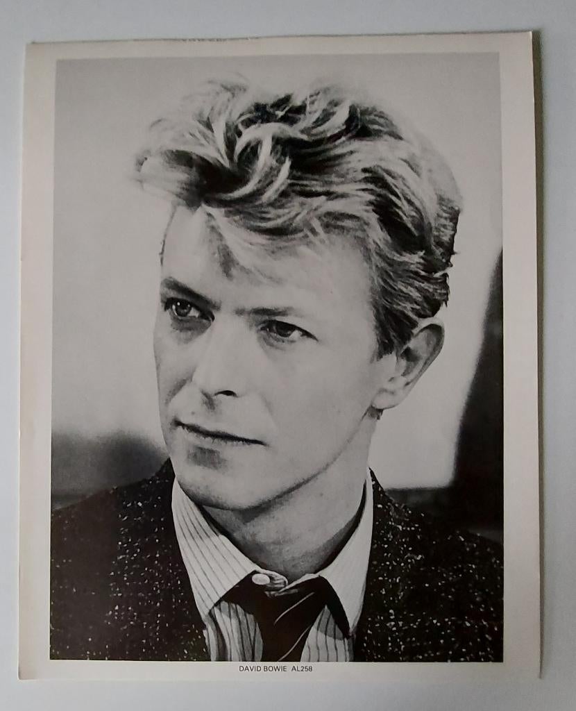 vintage David Bowie (promo) foto #1, Verzenden, Zo goed als nieuw, Foto of Kaart