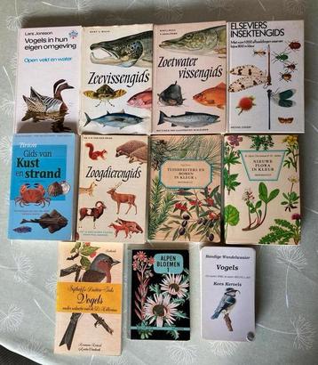 Vintage natuurgidsen, getekende illustraties