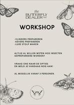 Workshop insecten prepareren, Diensten en Vakmensen, Cursussen en Workshops