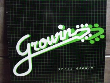 Growin "Still Growin" LP beschikbaar voor biedingen
