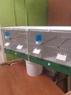 Heesakkers kunststof broedkooi., Dieren en Toebehoren, Ophalen of Verzenden, Gebruikt, Kunststof, Broedkooi of Kweekkooi