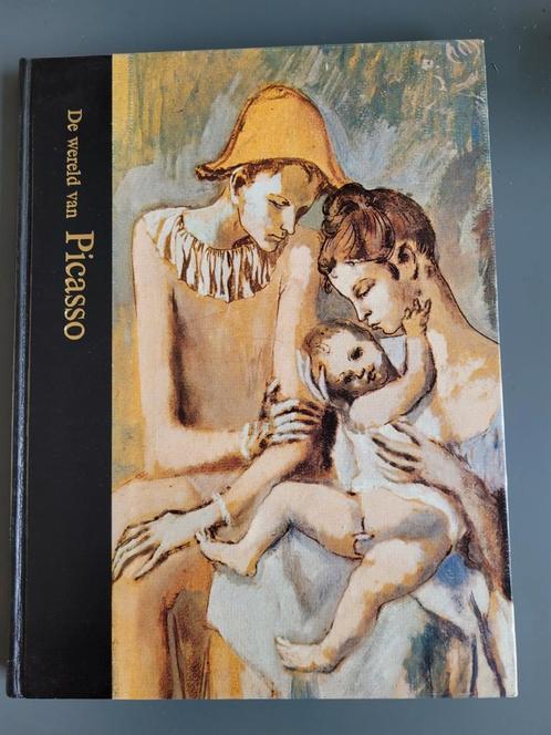 De wereld van Picasso - Lael Wertenbaker, Boeken, Kunst en Cultuur | Beeldend, Gelezen, Schilder- en Tekenkunst, Ophalen