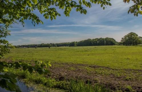 Verzorger (geen rijpaard) gezocht in 's Graveland, Dieren en Toebehoren, Stalling en Weidegang