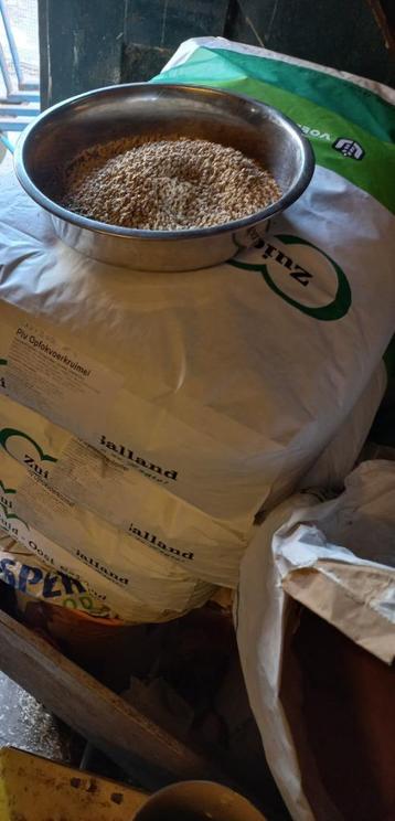 Legkorrel en/of Kuikenmeel te koop beschikbaar voor biedingen