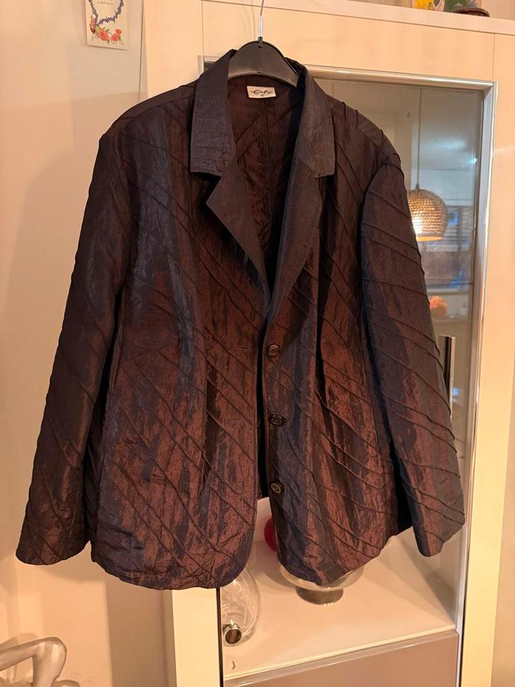 Erfo Jasje Maat 50 bruin, Kleding | Dames, Jasjes, Kostuums en Pakken, Zo goed als nieuw, Jasje, Maat 46/48 (XL) of groter, Bruin