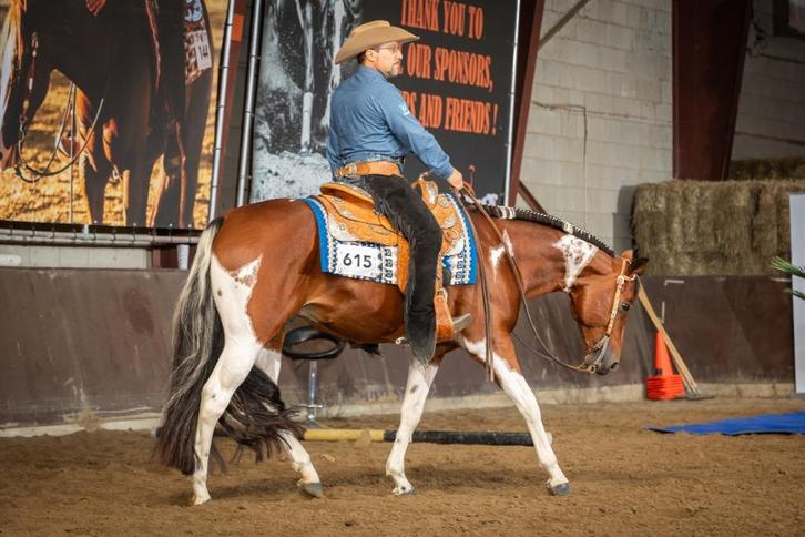 Homozygoot tobiano APHA Paint horse dekhengst, Dieren en Toebehoren, Paarden en Pony's | Dekhengsten en Fokmerries, Hengst
