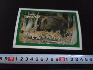 sticker Original WOELFEL Wildschwein  beschikbaar voor biedingen