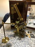 Microscoop, Antiek en Kunst, Ophalen of Verzenden