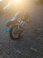 Tomos caferacer, Ophalen, Zo goed als nieuw, Overige modellen