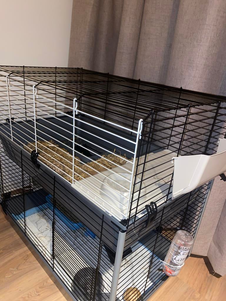 Konijnenhok/caviahok, Dieren en Toebehoren, Knaagdieren en Konijnen | Hokken en Kooien, Minder dan 60 cm, Nieuw, Ophalen of Verzenden