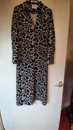jurk maat M dierenprint Aime, Ophalen of Verzenden, Zo goed als nieuw, Maat 38/40 (M)
