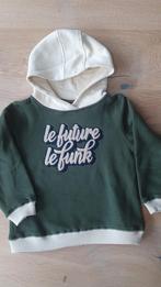 Heerlijke hoodie 4 funky flavours mt 128, Ophalen of Verzenden, Zo goed als nieuw, Trui of Vest