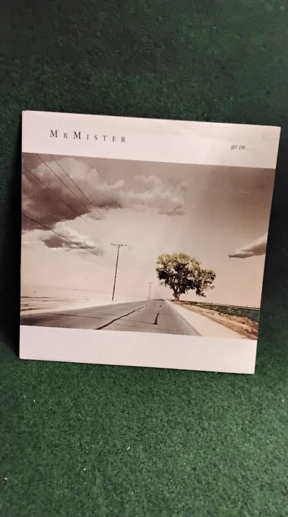 Mr MISTER, Cd's en Dvd's, Vinyl | Rock, Gebruikt, Poprock, Overige formaten, Ophalen of Verzenden
