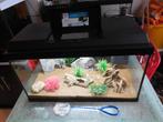 complete juwel primo 60 led met toebehoren en inrichting, Ophalen, Zo goed als nieuw, Leeg aquarium