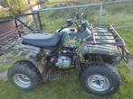 Jianshe Puma quad 250 cc, Ophalen