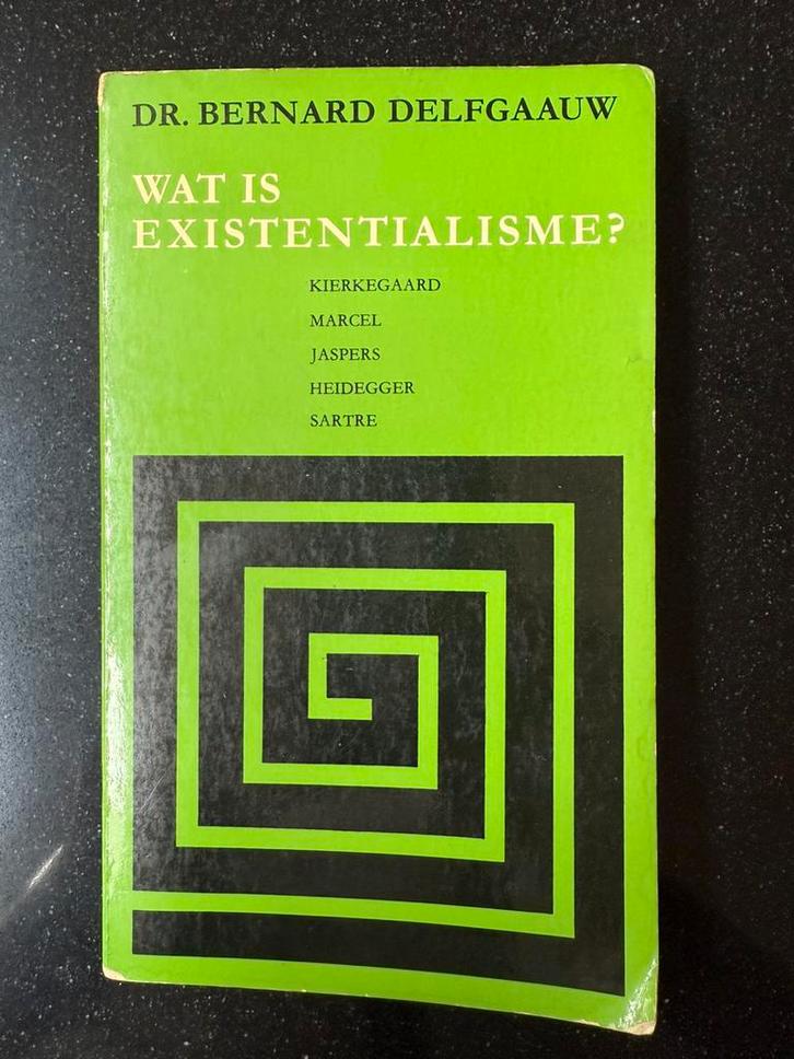 Wat is existentialisme? Dr Bernard Delfgaauw, Boeken, Filosofie, Gelezen, Ophalen