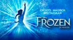 1x ticket, Frozen Musical 3 januari, 12.00u, Eén persoon, Januari