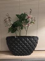 2x Bloempotten - Stijlvol en Decoratief, Tuin en Terras, Bloempotten, Ophalen, Kunststof, Gebruikt, 40 cm of meer