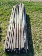 boom palen hout lengte 250 cm verduurzaamd, Tuin en Terras, Ophalen, Gebruikt, 250 cm of meer, Palen