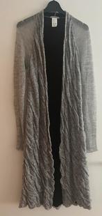 Merk Sarah Pacini lang vest, Ophalen of Verzenden, Zo goed als nieuw, Grijs