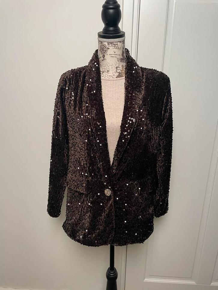 Glitter Velvet Blazer - Donkerbruin - S/M van Dejacque, Kleding | Dames, Jasjes, Kostuums en Pakken, Nieuw, Jasje, Maat 36 (S)