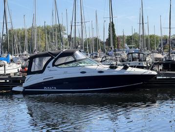 Sea Ray 315 Sundancer Volvo Penta 300 pk diesel motorboot beschikbaar voor biedingen
