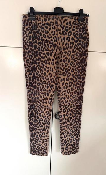 Drole de Copine panterprint broek medium CHCS beschikbaar voor biedingen
