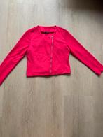 Claudia straiter mt L, Kleding | Dames, Truien en Vesten, Overige kleuren, Maat 42/44 (L), Ophalen of Verzenden, Zo goed als nieuw