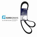 VOLVO FH4 V-Riem 22670503, -, -, Nieuw, Ophalen of Verzenden