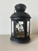 Appias Indra vlinder, Antiek en Kunst, Ophalen