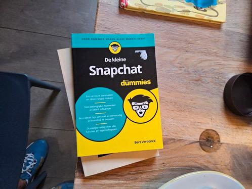 Bert Verdonck - De kleine Snapchat voor Dummies, Boeken, Informatica en Computer, Zo goed als nieuw, Ophalen of Verzenden